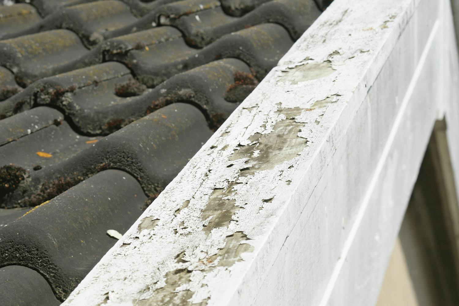 Vattbräda Vattbräda